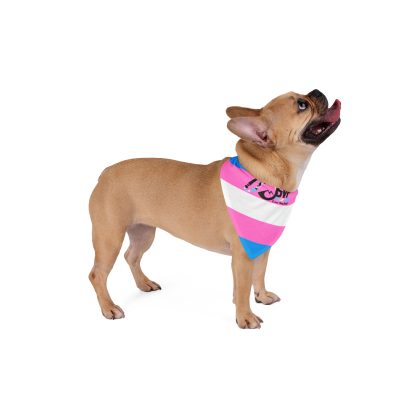 Dog Bandana - Trans Flag Silver Valley Pride 2025 Event Logo - Image 8