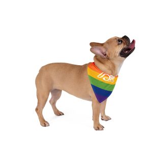 Dog Bandana - Rainbow Silver Valley Pride 2025 Event Logo